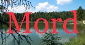 Mord an entensee