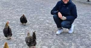 Verbotene hühnerfütterung: deutscher in schweden festgenommen