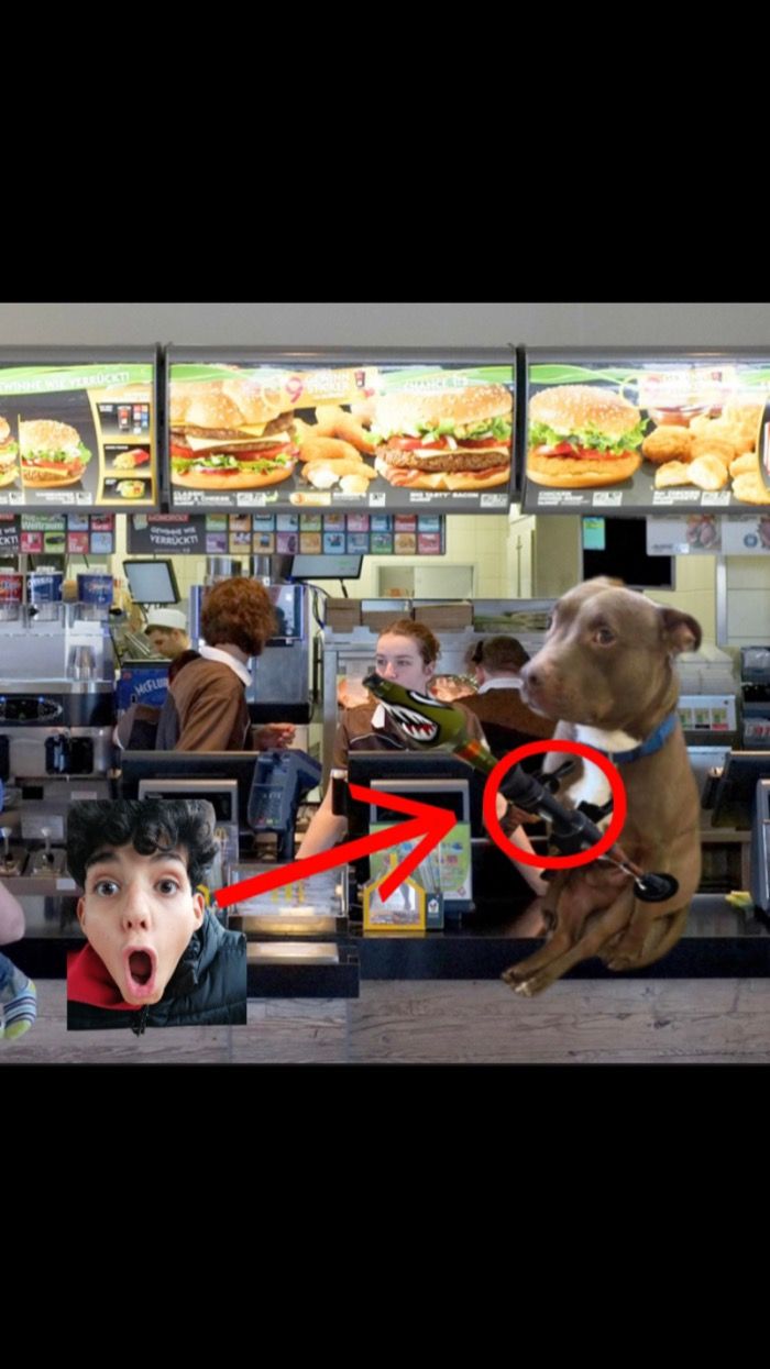 UNGLAUBLICH!!! Hund raubt McDonald’s aus