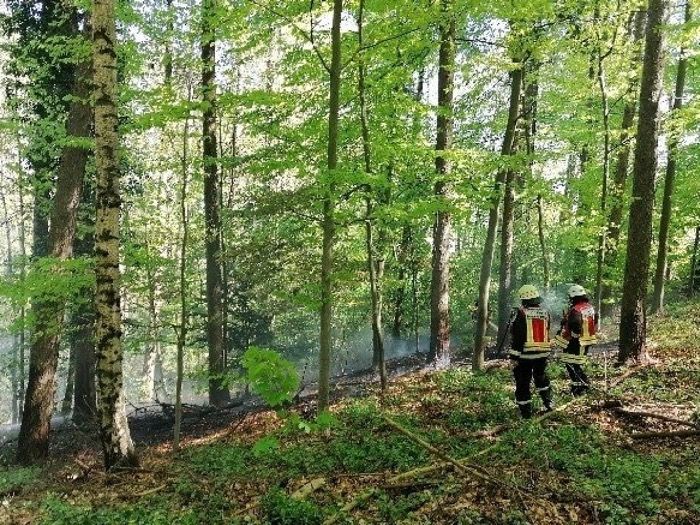 Waldbrand an der Spenger Werburg