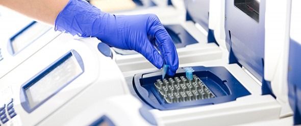 Breaking News: CDC bestätigt die Zulassung von PCR Test für SARS-Cov2